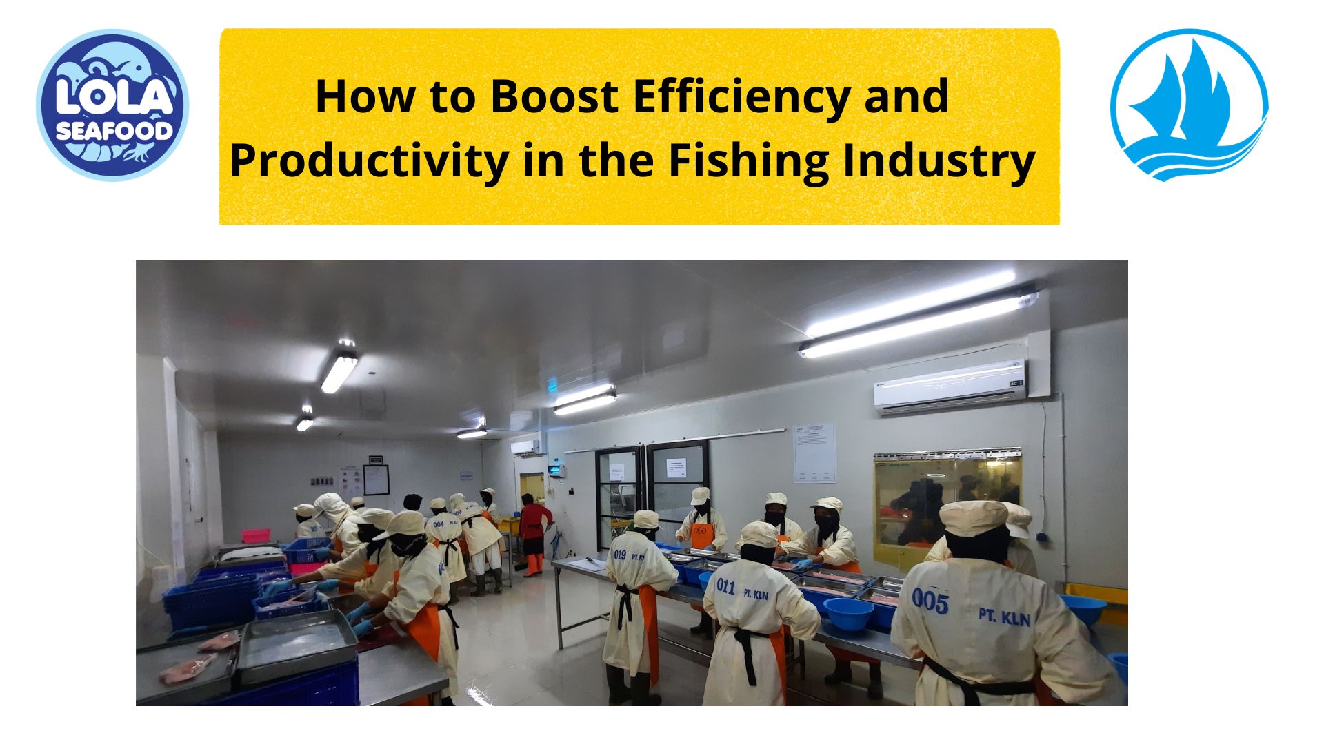 How to Boost Efficiency and Productivity in the Fishing Industry